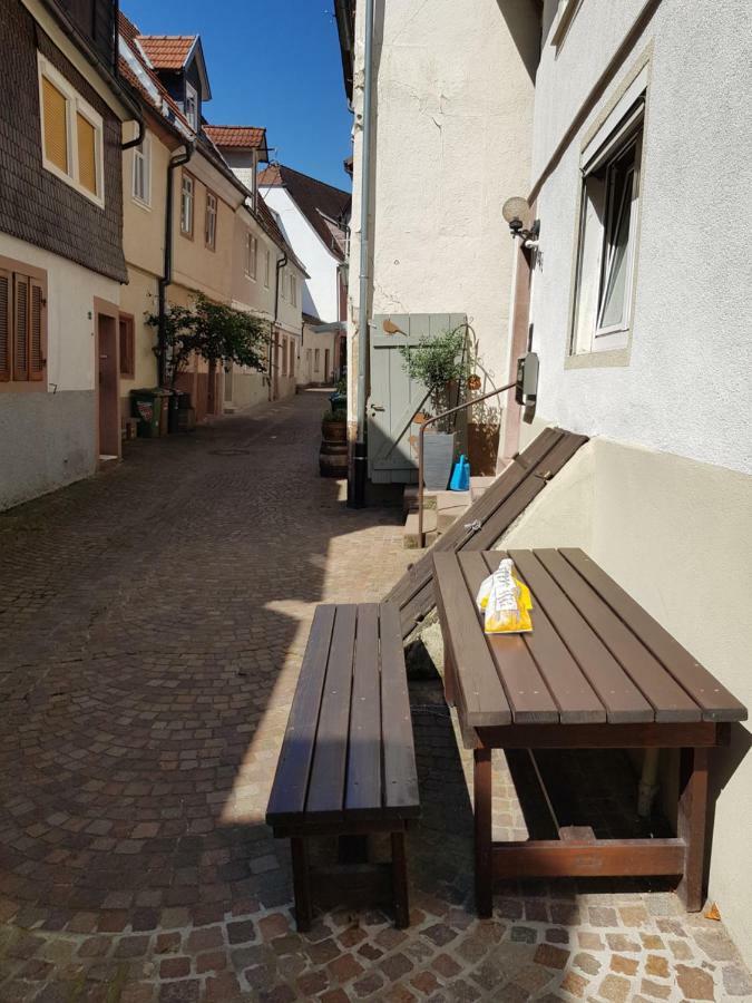 Zauberhafte Wohnung In Der Naehe Von Heidelberg, Top Lage Гіршгорн Екстер'єр фото