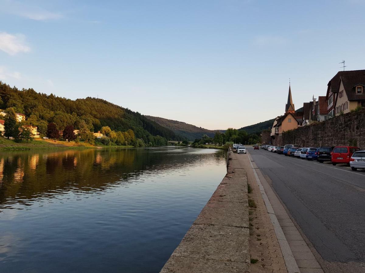 Zauberhafte Wohnung In Der Naehe Von Heidelberg, Top Lage Гіршгорн Екстер'єр фото
