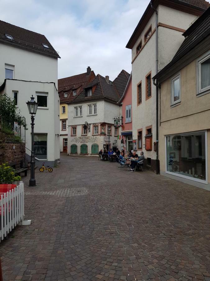 Zauberhafte Wohnung In Der Naehe Von Heidelberg, Top Lage Гіршгорн Екстер'єр фото