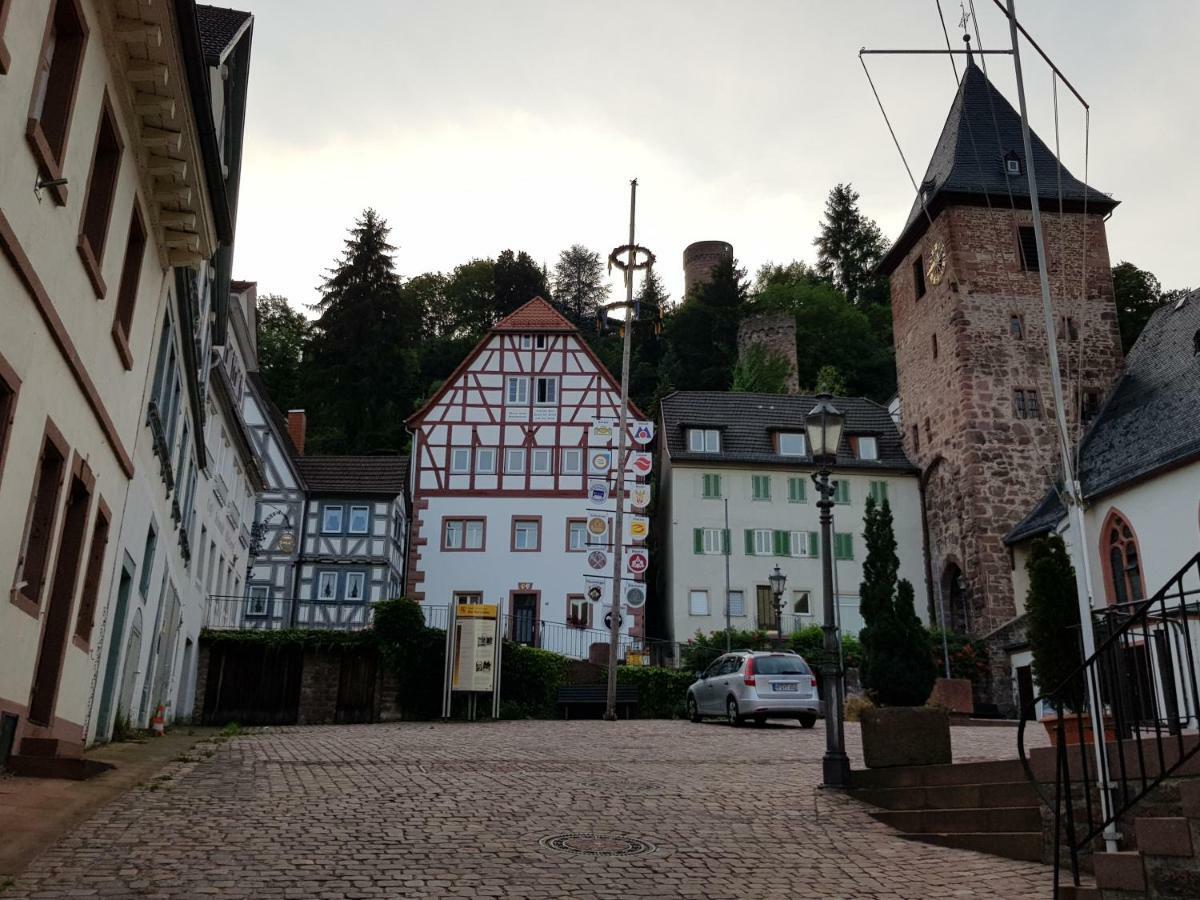 Zauberhafte Wohnung In Der Naehe Von Heidelberg, Top Lage Гіршгорн Екстер'єр фото
