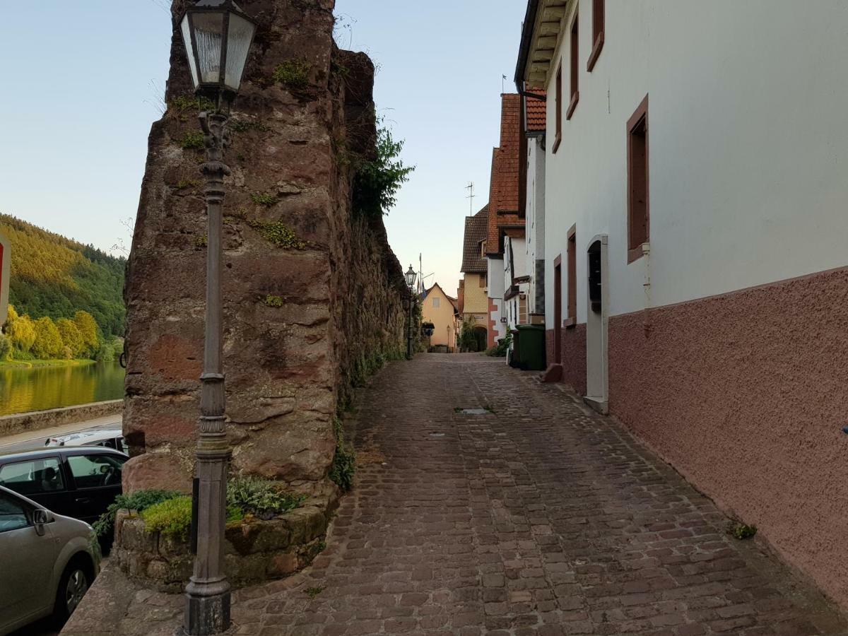 Zauberhafte Wohnung In Der Naehe Von Heidelberg, Top Lage Гіршгорн Екстер'єр фото