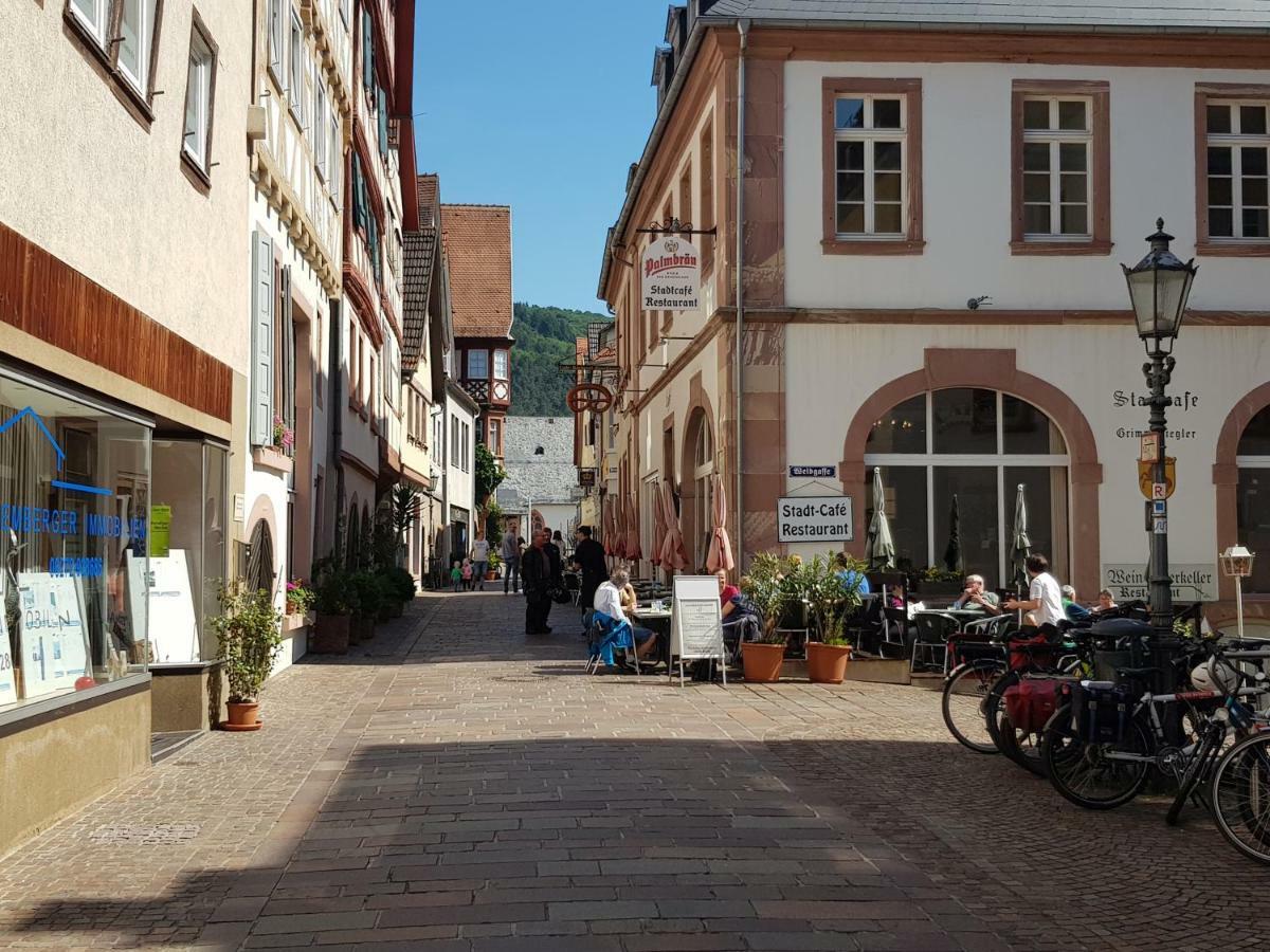 Zauberhafte Wohnung In Der Naehe Von Heidelberg, Top Lage Гіршгорн Екстер'єр фото
