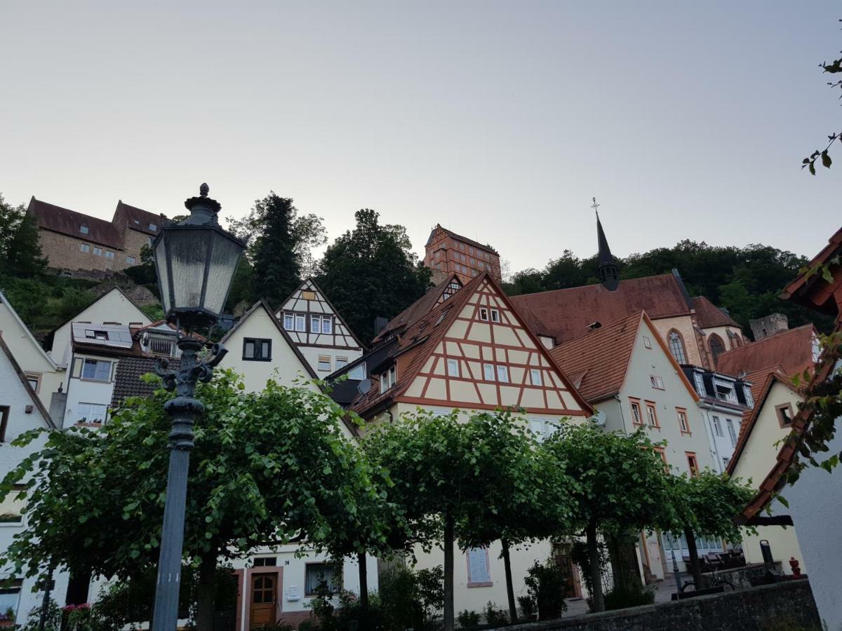 Zauberhafte Wohnung In Der Naehe Von Heidelberg, Top Lage Гіршгорн Екстер'єр фото