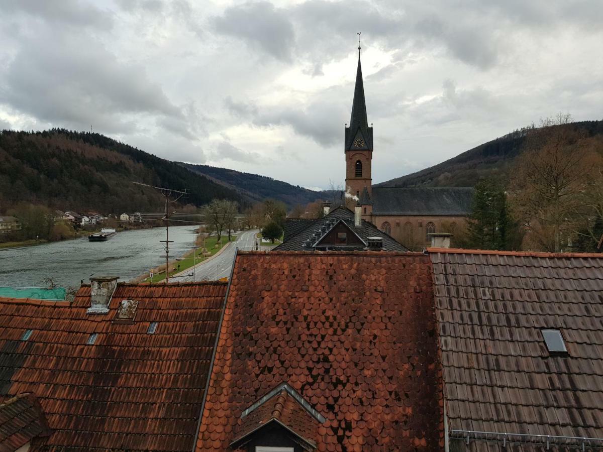 Zauberhafte Wohnung In Der Naehe Von Heidelberg, Top Lage Гіршгорн Екстер'єр фото