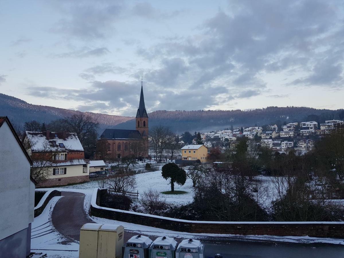 Zauberhafte Wohnung In Der Naehe Von Heidelberg, Top Lage Гіршгорн Екстер'єр фото
