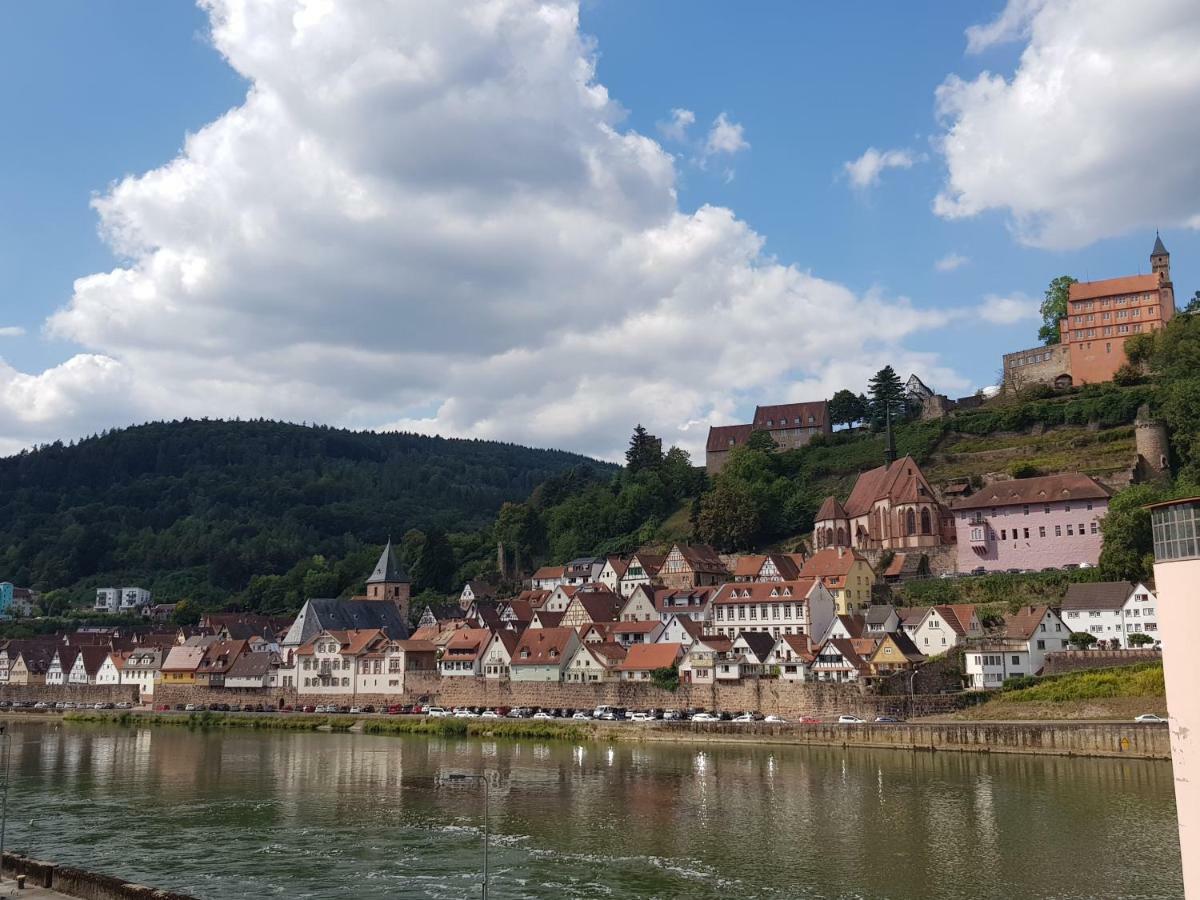 Zauberhafte Wohnung In Der Naehe Von Heidelberg, Top Lage Гіршгорн Екстер'єр фото