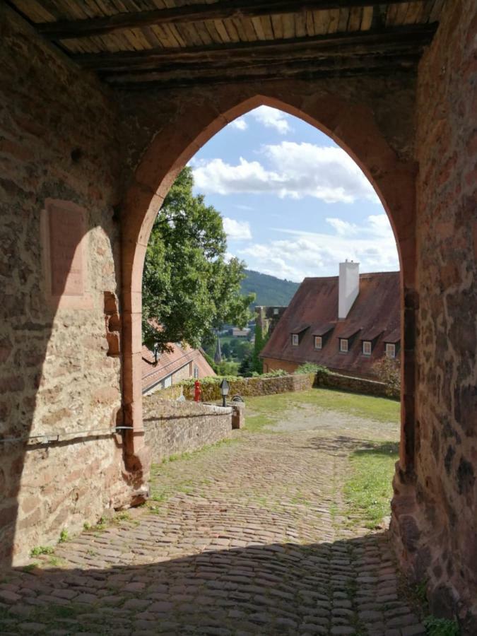 Zauberhafte Wohnung In Der Naehe Von Heidelberg, Top Lage Гіршгорн Екстер'єр фото
