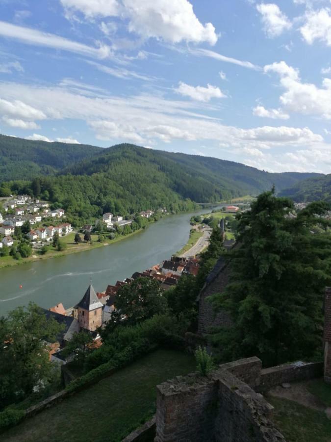Zauberhafte Wohnung In Der Naehe Von Heidelberg, Top Lage Гіршгорн Екстер'єр фото