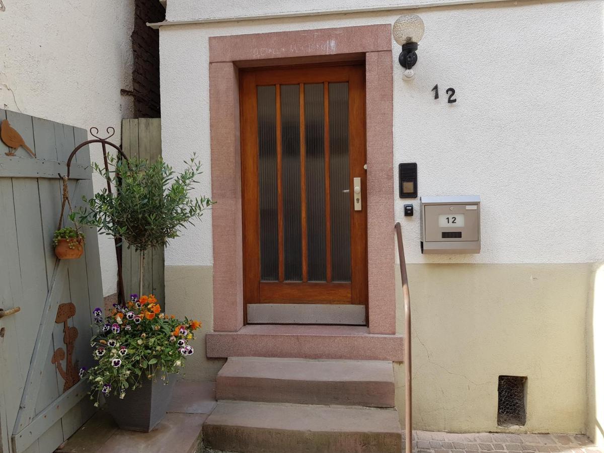 Zauberhafte Wohnung In Der Naehe Von Heidelberg, Top Lage Гіршгорн Екстер'єр фото