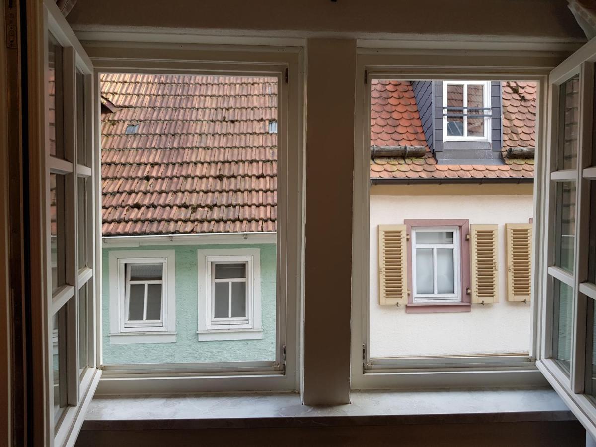 Zauberhafte Wohnung In Der Naehe Von Heidelberg, Top Lage Гіршгорн Екстер'єр фото